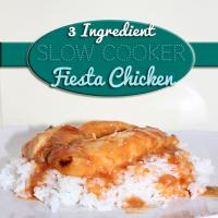 3 Ingredient Slow Cooker Fiesta Chicken Recipe - (4.6/5) image