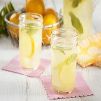 Sparkling Mint Lemonade Recipe_image
