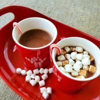Homemade Slow Cooker Hot Chocolate image