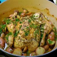 Chicken with 40 Cloves of Garlic image