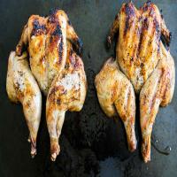 Grilled Cornish Game Hens_image