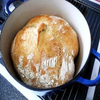 Harry's Whole Grain No Knead Dutch Oven Bread image