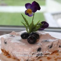Blueberry Gelatin Dessert Recipe - (4.3/5) image