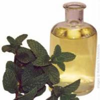 Make your own mint infused oil & recipes_image