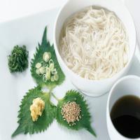 Japanese Cold Noodles image