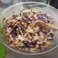 Simple Coleslaw for two_image