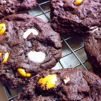 Chocolate Candy-Brownie Cookies_image