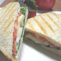 Four Cheese Panini With Basil Tomatoes_image