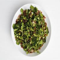 Lentils with Watercress image