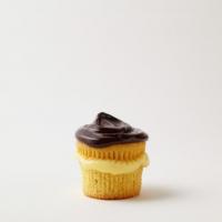 Boston Creme Cupcakes_image