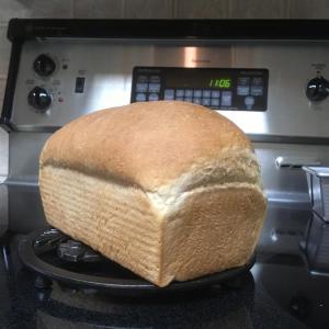 Oat Bran Bread_image