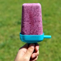 Blueberry Yogurt Pops_image