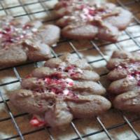 Spritz Cookies for Cookie Press_image