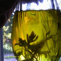 Olive Oil With Herbs image