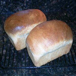 To Beer or Not to Beer - Wheat Bread (Hand or Abm Dough Cycle)_image