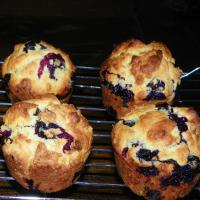 Blueberry Corn Muffins image