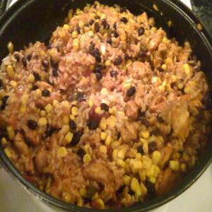 saucy salsa chicken and rice_image