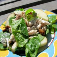Apple, Chicken and Stilton Salad image