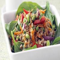 Skinny Thai Salad with Peanut Dressing image
