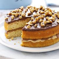 Peanut butter cake image