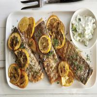 Grilled Salmon with Meyer Lemons and Creamy Cucumber Salad image