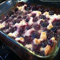 Homemade Kentucky Blackberry Cobbler Recipe - (4.5/5)_image