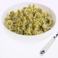 Campanelle with Spicy Mint Sauce_image
