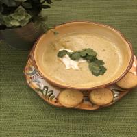 Poblano Chicken Cheese Soup image