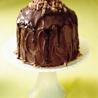 Chocolate Ganache Cake image