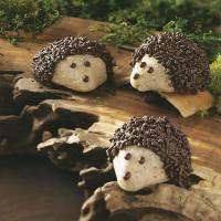 Chocolate-Pecan Hedgehog Cookies_image