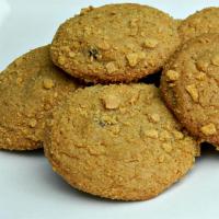 Easy Graham Cracker Cookies_image