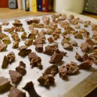 Freeze Dried Chicken Liver Dog Treats_image