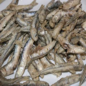 Dalmatian Fried Anchovy_image