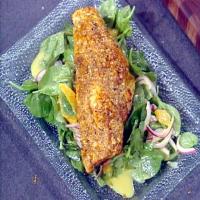 Paul's Grilled Grouper_image