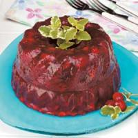 Flavorful Cranberry Gelatin Mold image