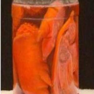 Pickled Pigs Feet_image
