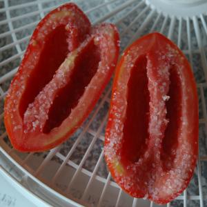 Sun-Dried Tomatoes_image
