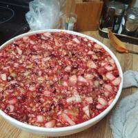 Cranberry Salad VII_image