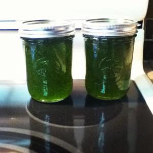 Tangy Jalapeno Jelly image