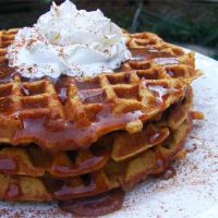 Pumpkin Waffles with Apple Cider Syrup_image