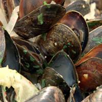 Spicy Mussels with White Wine_image