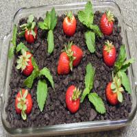 Garden Dirt Pie Recipe - (4.5/5)_image