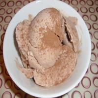 Chocolate Almond Frozen Yogurt image