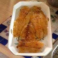 Baked Grouper Creole/Parmesan_image