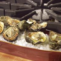Bubba's Chargrilled Oysters image
