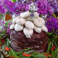 Chocolate Meringue Cake image