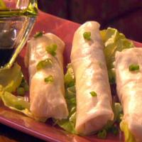 Chicken and Vegetable Spring Rolls image
