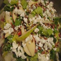 Pear and Goat Cheese Salad image
