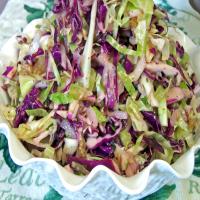 Crunchy Red and Green Coleslaw Wth Candied Walnuts image