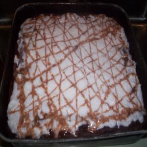Gluten Free Coconut Cream Chocolate Cake_image
